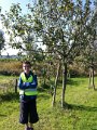 Appels en Peren